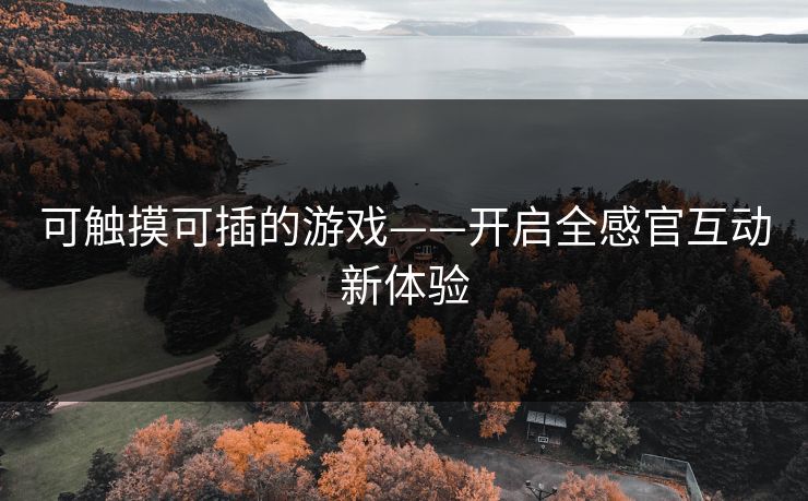 可触摸可插的游戏——开启全感官互动新体验