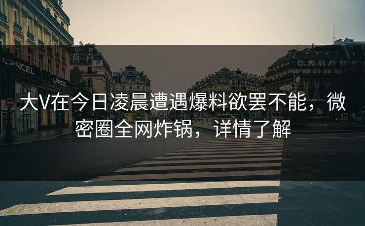 大V在今日凌晨遭遇爆料欲罢不能，微密圈全网炸锅，详情了解