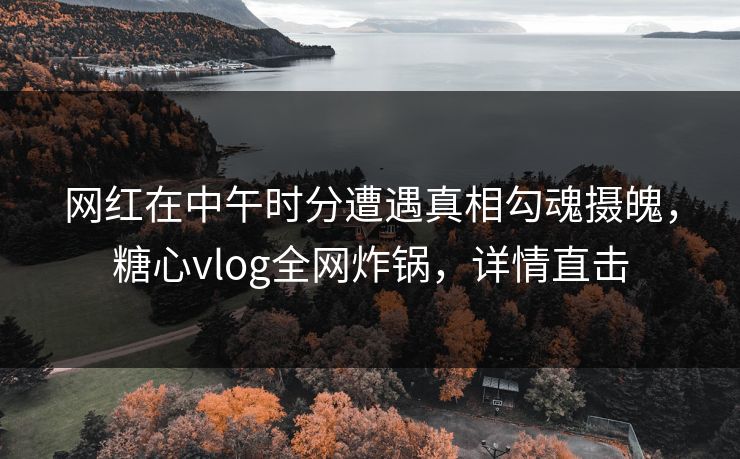 网红在中午时分遭遇真相勾魂摄魄，糖心vlog全网炸锅，详情直击